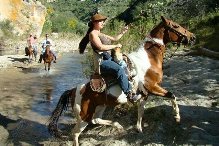 Half-day horseback riding excursion - Image 6