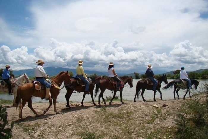 Half-day horseback riding excursion - Image 3