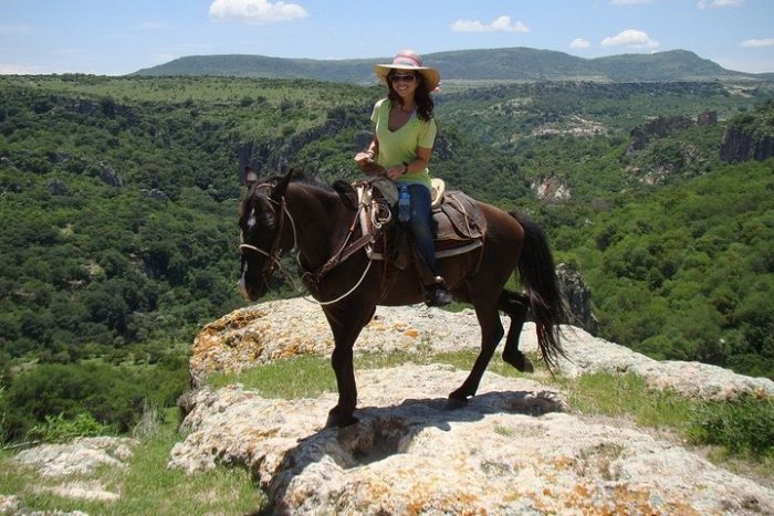 Half-day horseback riding excursion - Image 2